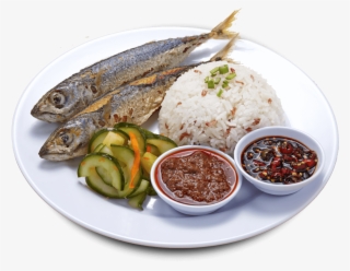 Borneo Mackerel Meal - Fish #8485412