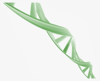 Bg - Balloon #8485414