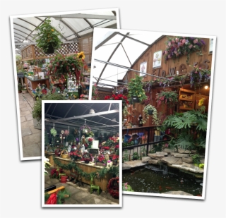 Gift Items And Much More - Greenhouse #8485793