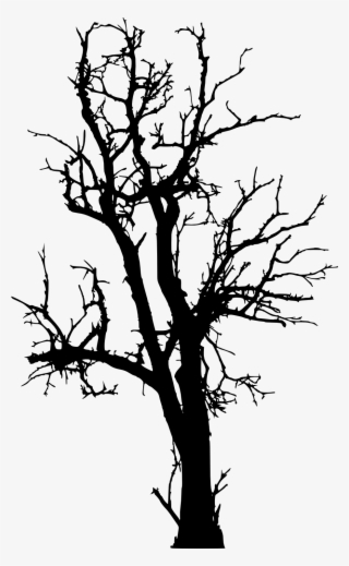 924 X 1500 7 - Dead Tree Silhouette Png #8485977