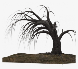 Dead Tree - Dead Trees Drawing Png #8486017