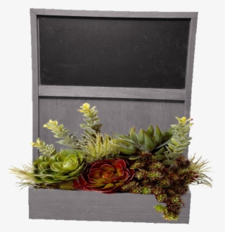 Categories - Floral Design #8486855