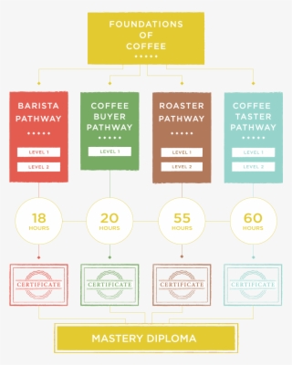 From Other Graduates - Scaa Specialty Coffee #8487154