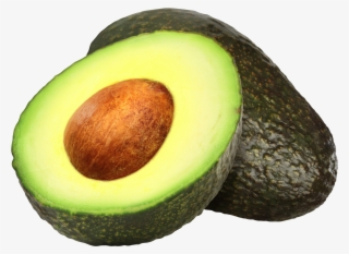 Avocado - Avocado Hipster #8488322