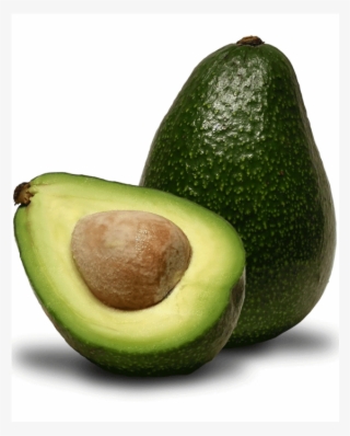 281sss - Avocado In Ahmedabad #8488945