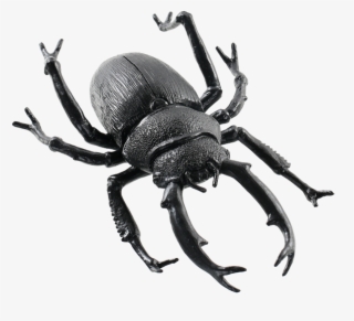 Black Beetle Transparent Images Png - Dung Beetle #8490494