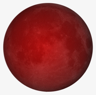 Hi I'm Muradov Murad - Circle #8492567