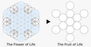Open - Fruit Of Life Png #8496081