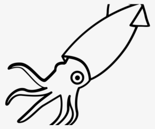 Drawn Squid Invertebrate - Squid Drawing Png #8497477