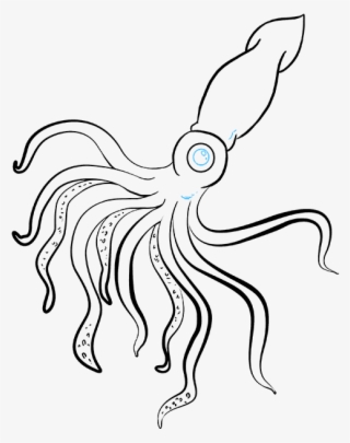 How To Draw A Really Easy Tutorial - Squid Drawing #8497783