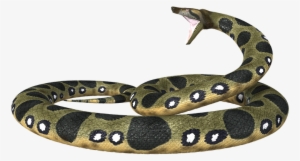 Anaconda Png - Snakes #850829