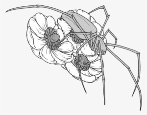 Back At It Again With The 'lackluster Feeling With - Line Art #850831