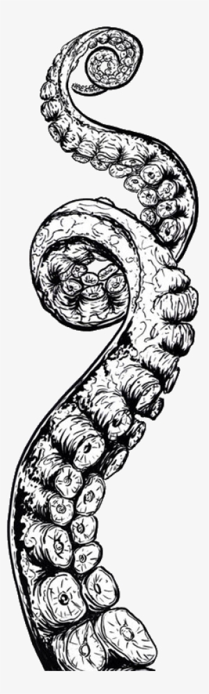 Flower Png Tumblr Iratick - Tentaculos De Pulpo Tatuajes #851067