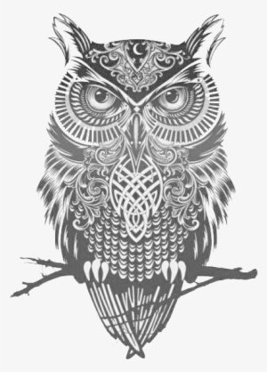 Panda Vaidosa - Owl Art Black And White #851181