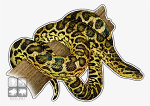 Yellow Anaconda Decal - Yellow Anaconda #851236