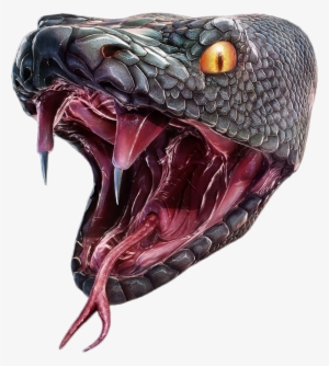 Snake Head Png - Snake Photoshop #851383