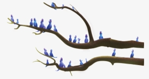 This Graphics Is Various Kinds Of Birds Transparent - Wallpaper #851664