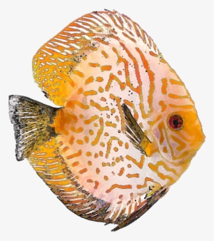 Free Tropical Fish Clip Art - Clip Art #851684
