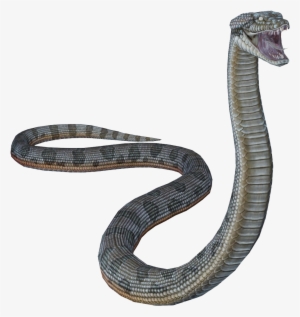 Snakes #851757 Snakes #851757
