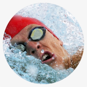 Olympic Partners - Freestyle Swimming #851780