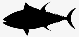 Fish Silhouette Free Vector Graphic On Pixabay - Tuna Clip Art #851954