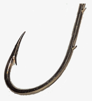 Bait Holder Fishing Hook - Transparent Fishing Hook #852020