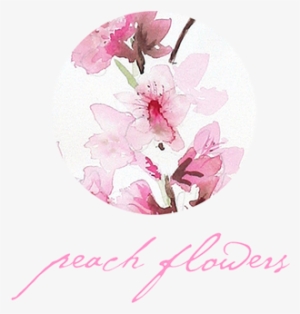 If You Like It, You Can Buy My Watercolors In My Ebay - Infant Photography #852040