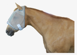 Quick View - Mask #852246