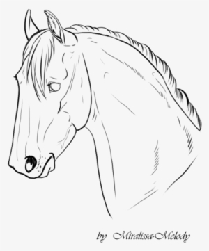 Horse Head Line Drawing At Getdrawings - Horse #852297