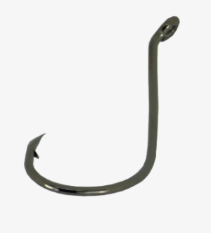 Click On Image To Zoom - Eel #852388