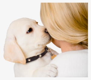 Dog - Puppy Adoption #853115