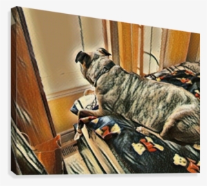 56 Cute Adorable Puppy Dog Domestic Purebred Breed - Boxer #853280