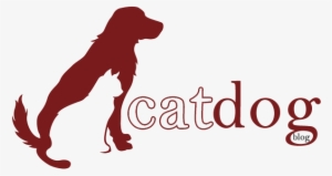 Cat & Dog Blog - Cat #853546