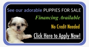 Come In Today And Interact With Our Adorable Animals - Esoft Metro Campus #853648