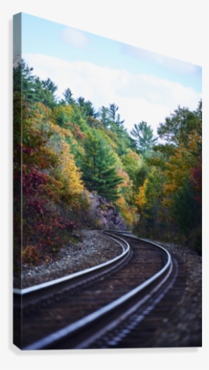 Railroad Tracks Through An Autumn Coloured Forest #856449 Railroad Tracks Through An Autumn Coloured Forest #856449
