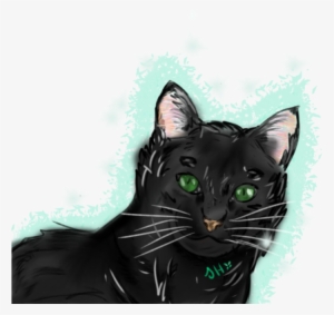 Re Black Cat W/ Green Eyes #857941