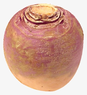 You Have A Friend In Your Turnip - Turnip #858438