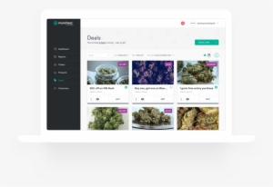 M Bp Deals #859063