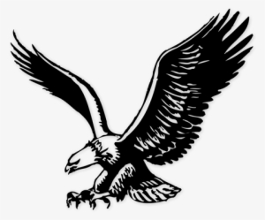 Ed White Middle School - Brandon Blackhawks #859192