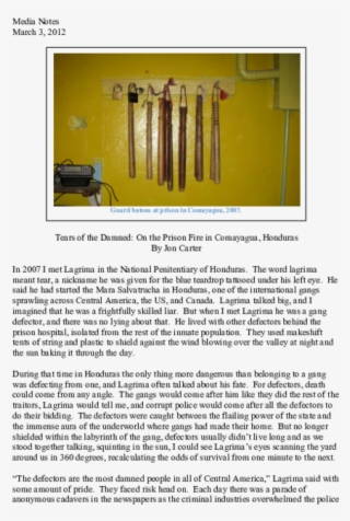 Pdf - Revolving Door #8500009