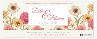 Save The Date - African Daisy #8500474