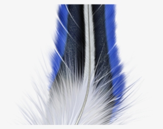 Quill Clipart Pluma - Pluma Azul Png #8500608