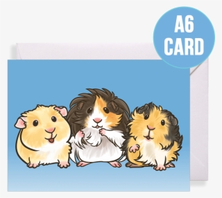 Multiple Breed Guinea Pig Card For Any Occasion - Cartoon #8501623