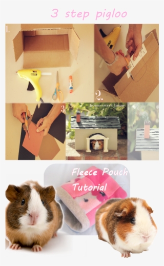 What Guinea Pig Wouldn't Want Their Very Own Homemade - Guinea Pig #8502584