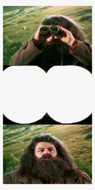 Copy Discord Cmd - Harry Potter Hagrid Meme #8502585