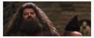 On Twitter - Human #8502832