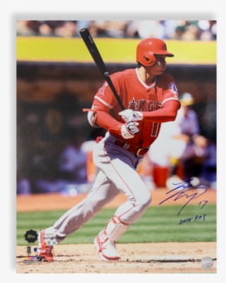 Gallery - College Baseball #8502853