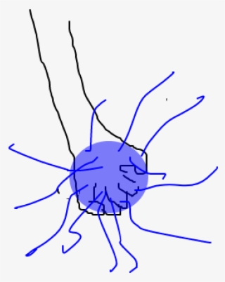 Chidori - Insect #8504114