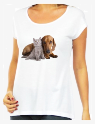 Cã£o E Gato Pro Site - Dog #8504949