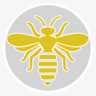 Contact Us Today - Hornet #8506078